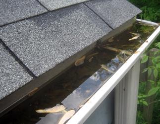 Replace your old sagging gutters in Southwest Florida